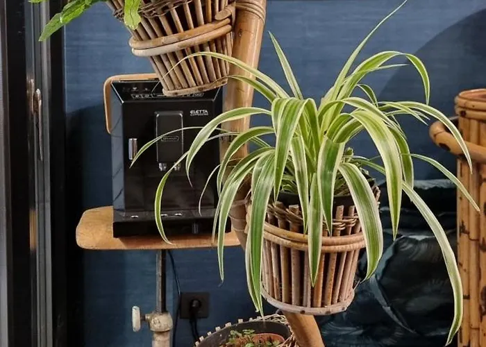 Bed & Breakfast Logies La Chevre Folle - & Cooking In Style With Shared Kitchen 4*